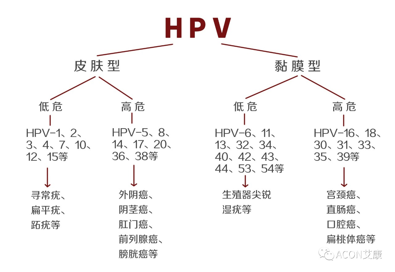 HPV疫苗有必要打吗？二价、四价、九价要如何选择！