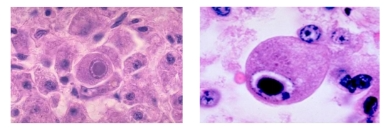 微信图片_20231206093306.png 微信图片_20231206093306.png